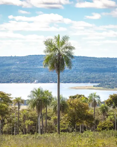 Lotes con vista al lago en Parque Alto