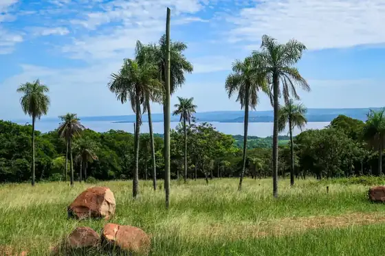 Lotes con vista al lago en Parque Alto 3