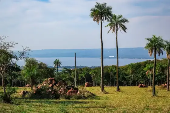 Lotes con vista al lago en Parque Alto 4