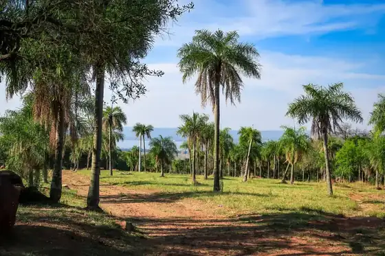 Lotes con vista al lago en Parque Alto 5
