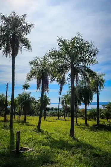Lotes con vista al lago en Parque Alto 10
