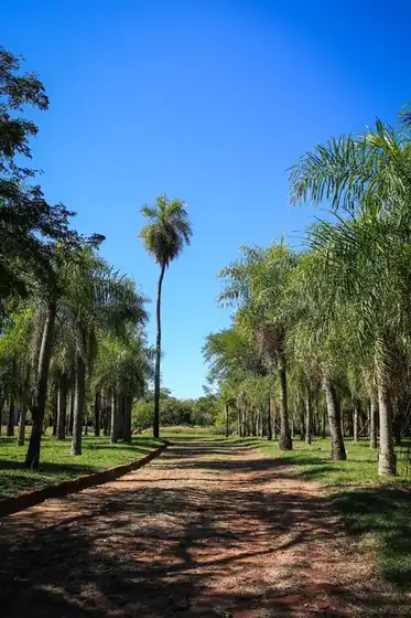 Lotes con vista al lago en Parque Alto 11