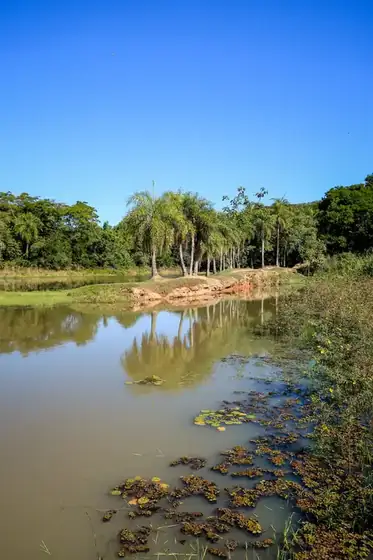 Lotes con vista al lago en Parque Alto 12