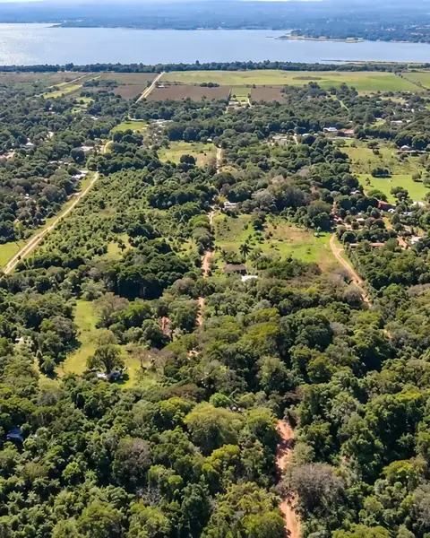 Tres lotes arbolados en Ypacaraí